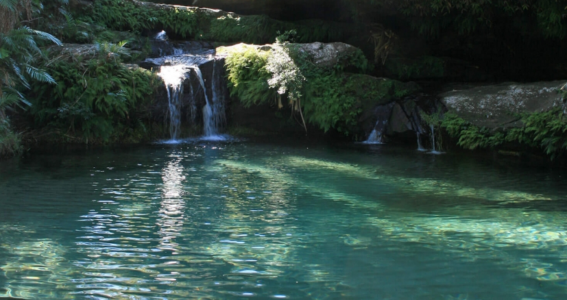 Natural pool in Madagascar Natural pool in Madagascar